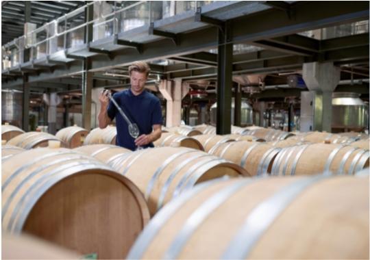 Uomo in cantina controlla vino, atmosfera tranquilla tra botti di legno.